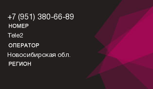 9513806689